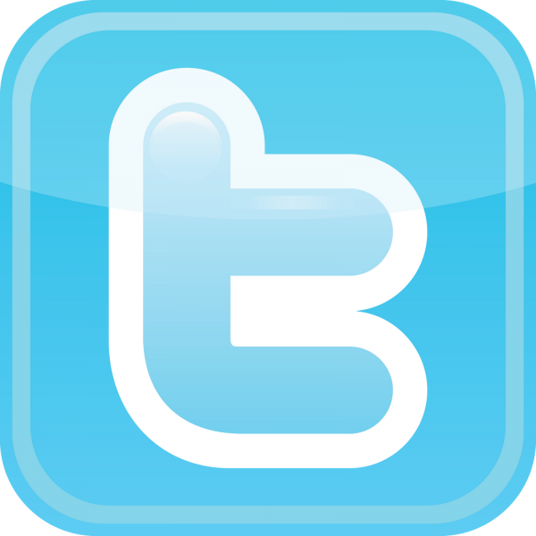 File:Twitter Button.png